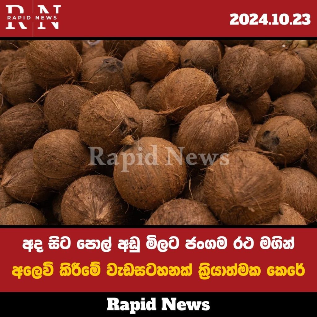 WhatsApp Image 2024 10 23 at 12.21.29 PM