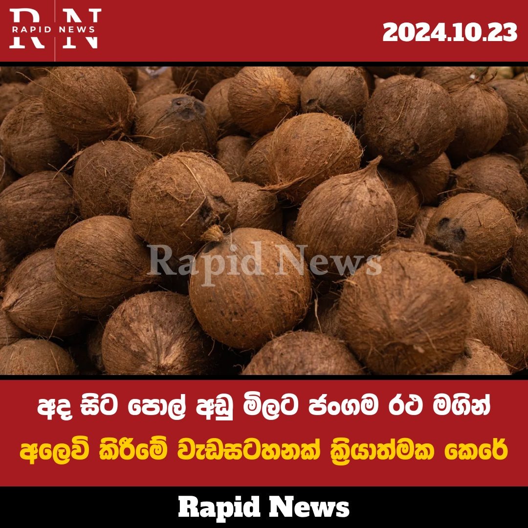 WhatsApp Image 2024 10 23 at 12.21.29 PM