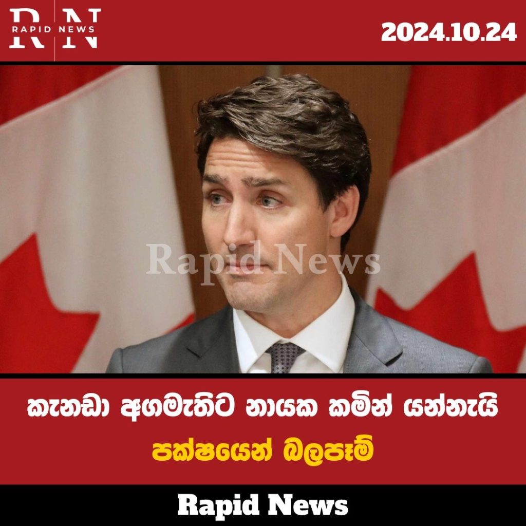 WhatsApp Image 2024 10 24 at 2.45.47 PM