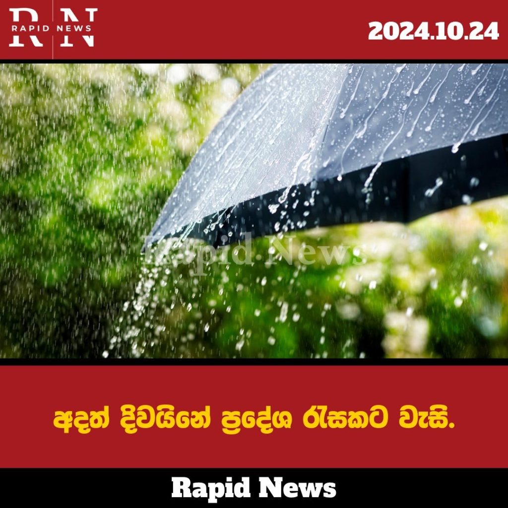 WhatsApp Image 2024 10 24 at 8.24.41 AM