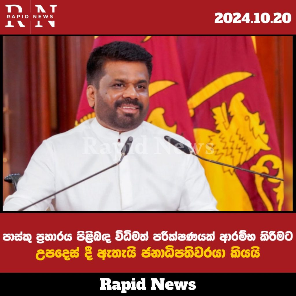 WhatsApp Image 2024 10 25 at 11.20.45