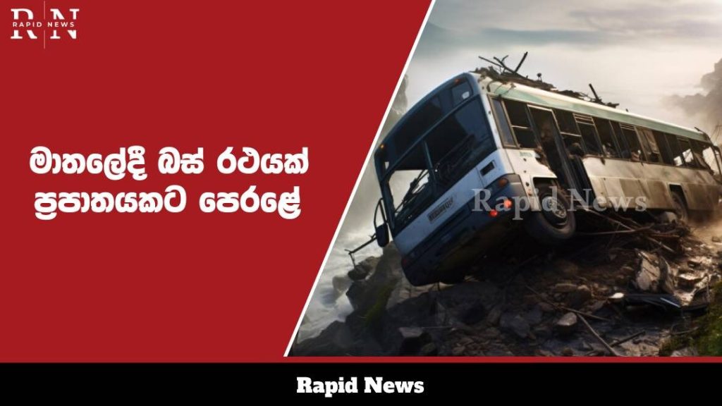 WhatsApp Image 2024 11 14 at 22.17.40 1