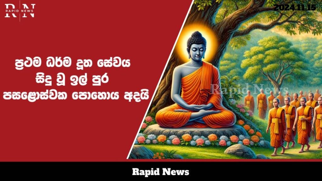 WhatsApp Image 2024 11 15 at 12.32.03