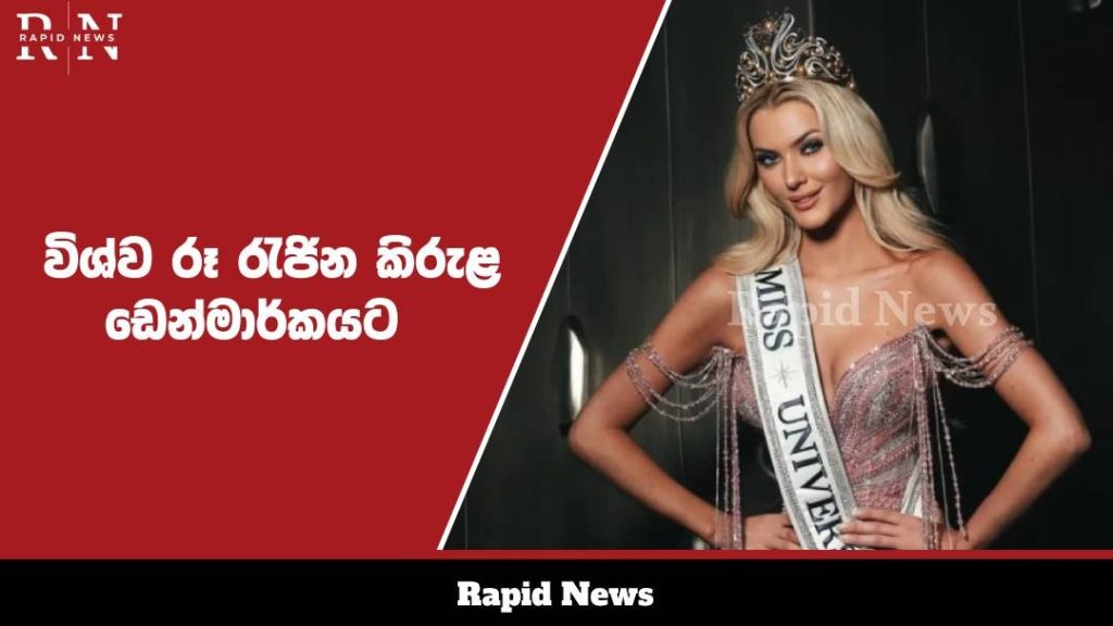 WhatsApp Image 2024 11 18 at 17.09.13 1