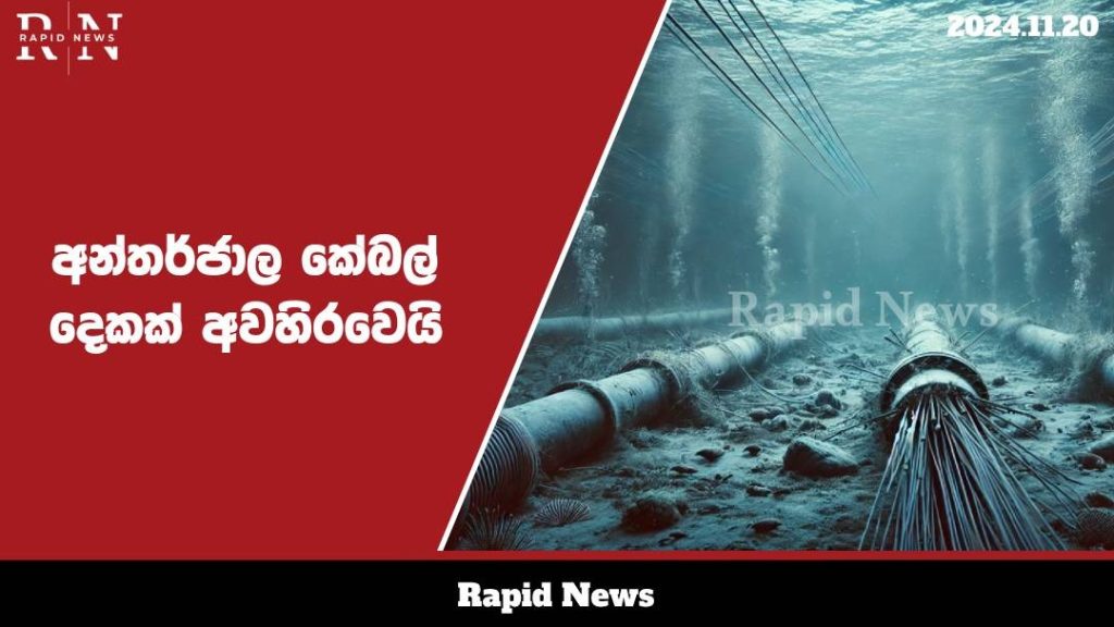 WhatsApp Image 2024 11 20 at 14.04.45