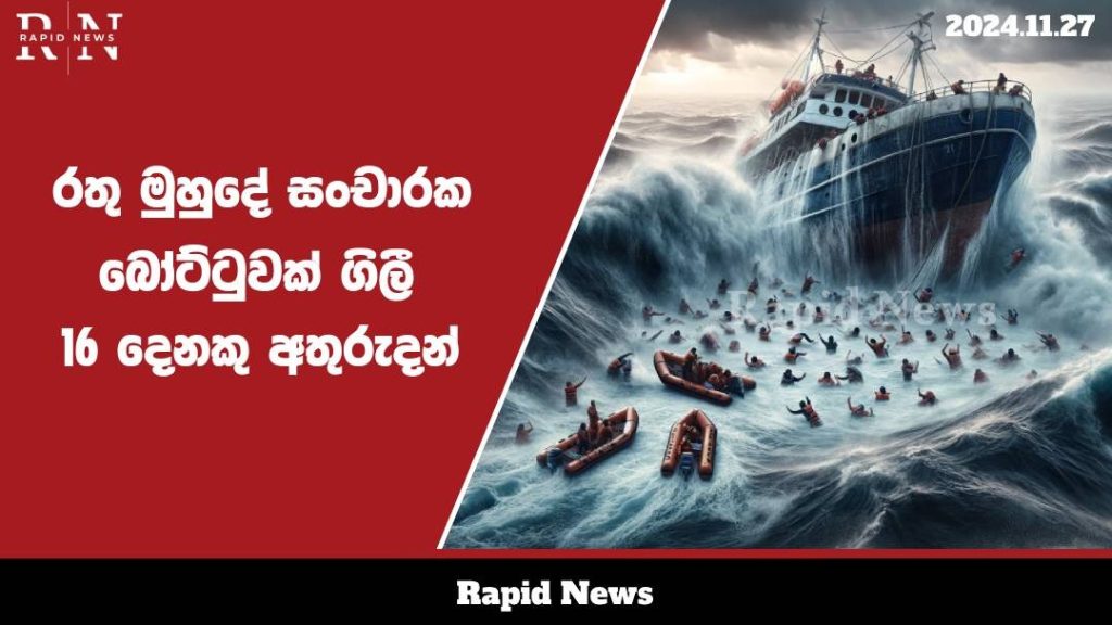 WhatsApp Image 2024 11 27 at 19.59.26