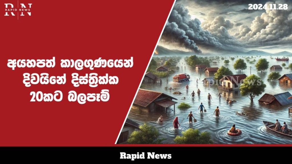 WhatsApp Image 2024 11 28 at 15.46.05