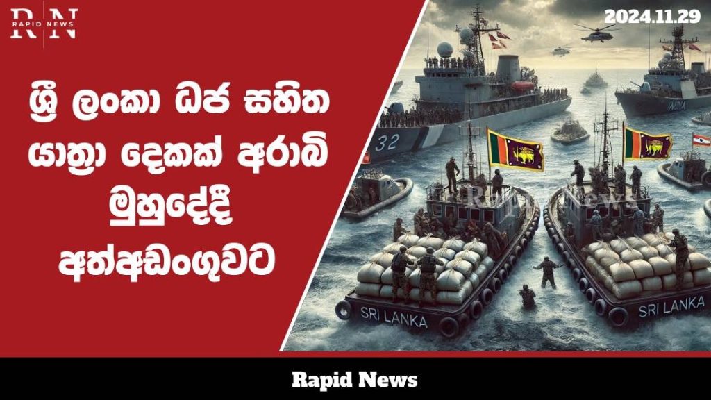 WhatsApp Image 2024 11 29 at 17.56.01