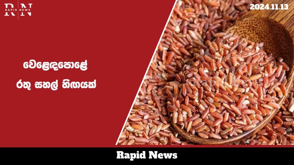 වෙළෙඳපොළේ රතු කැකුළු සහල් හිඟයක් - මිල ඉහළට…. 1 rice web