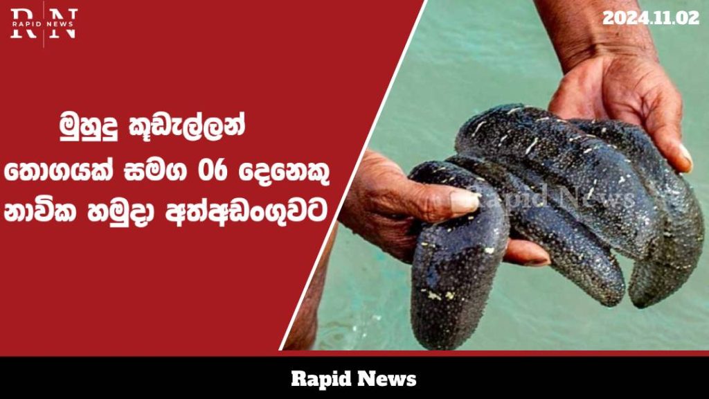 නීති විරෝධී ලෙස රාත්රී කාලයේ කිමිදුම් කටයුතු සිදුකල සැකකරුවන් හය දෙනෙකු (06) මන්නාරමේදී නාවික හමුදා භාරයට.... 1 sea web