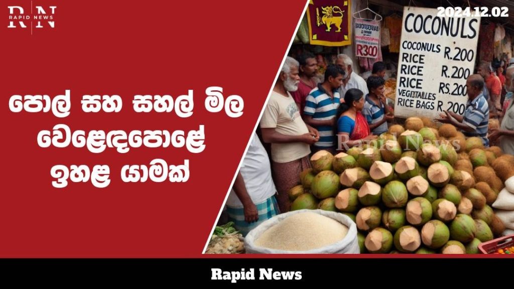 WhatsApp Image 2024 12 02 at 20.00.49 1