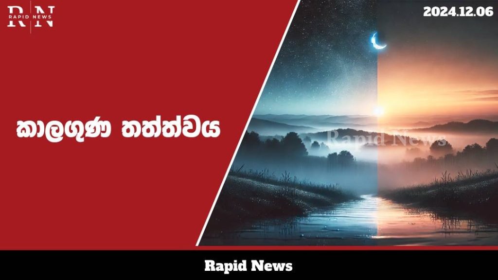 WhatsApp Image 2024 12 06 at 08.46.14 1