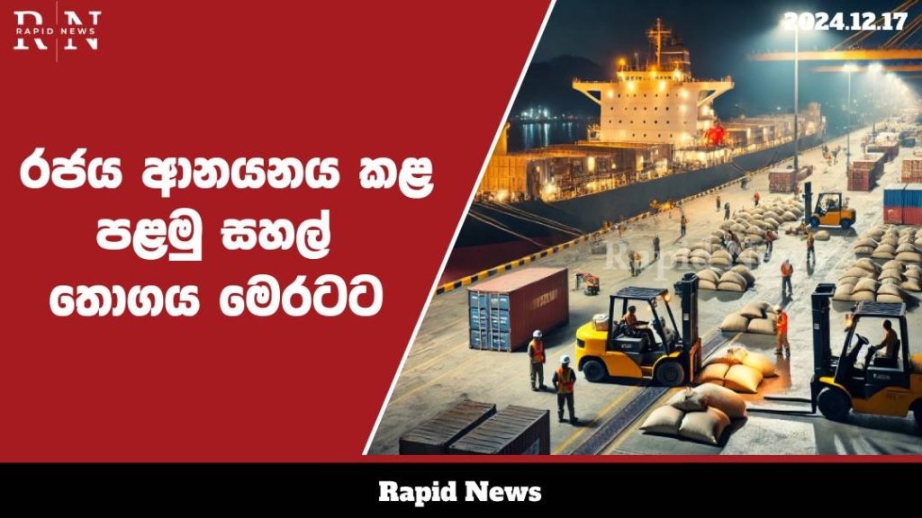 WhatsApp Image 2024 12 17 at 19.19.30