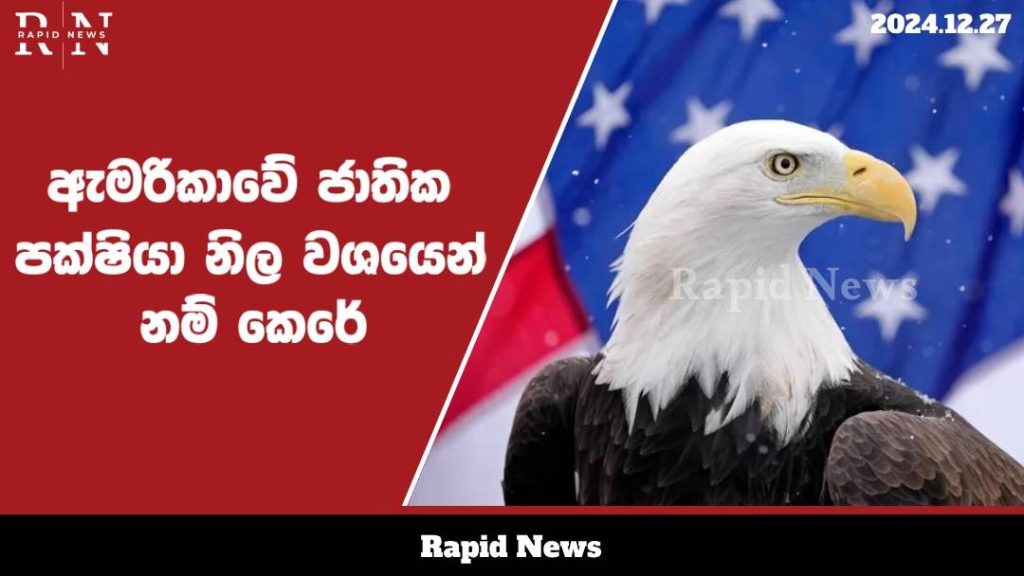 WhatsApp Image 2024 12 27 at 19.19.58