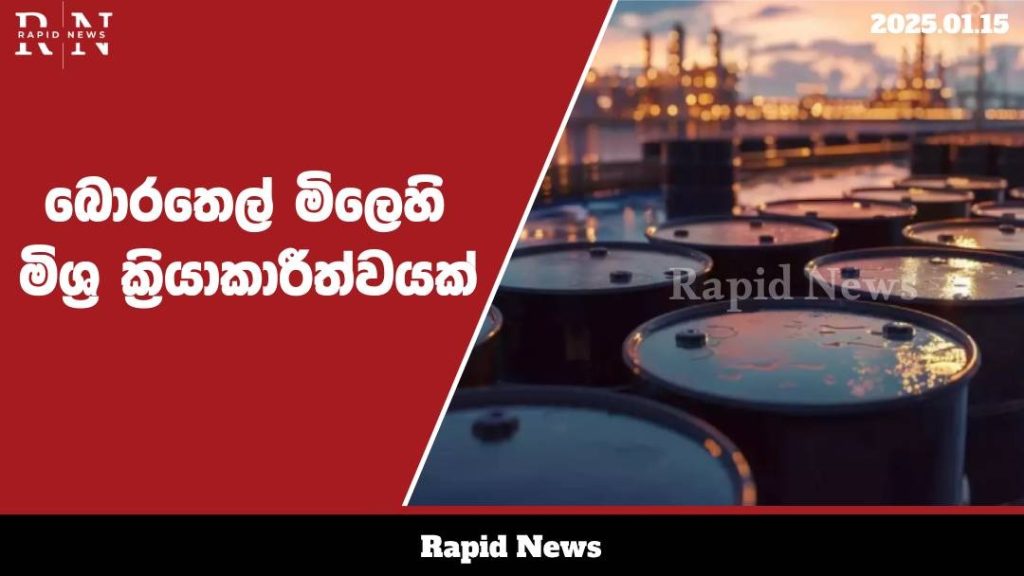 WhatsApp Image 2025 01 15 at 15.01.12