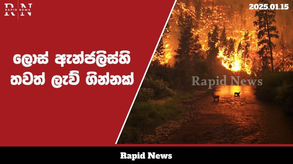 WhatsApp Image 2025 01 15 at 15.01.13