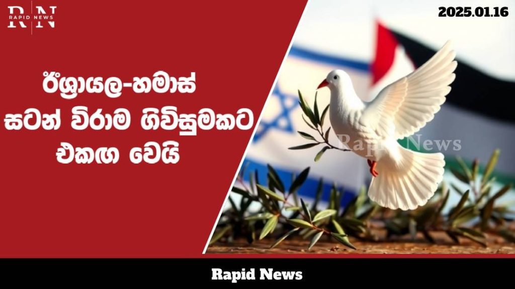 WhatsApp Image 2025 01 16 at 11.37.16