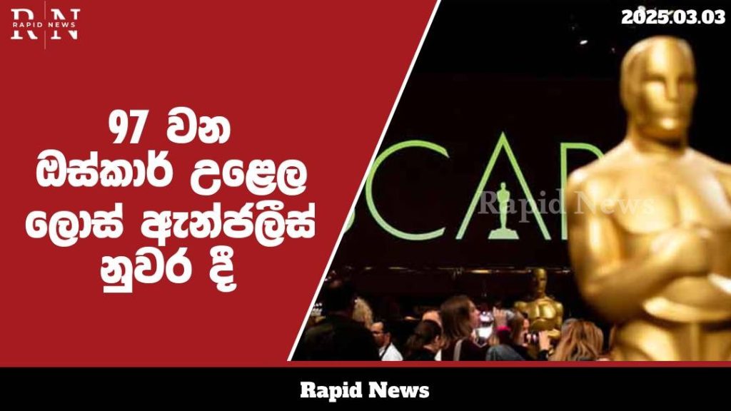 WhatsApp Image 2025 03 03 at 13.29.46 1