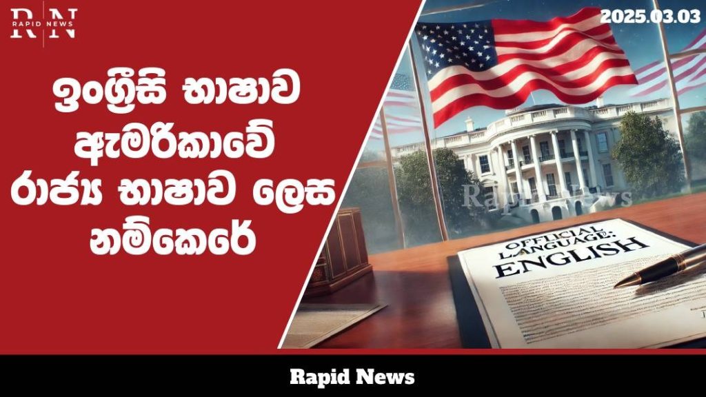 WhatsApp Image 2025 03 03 at 14.04.54