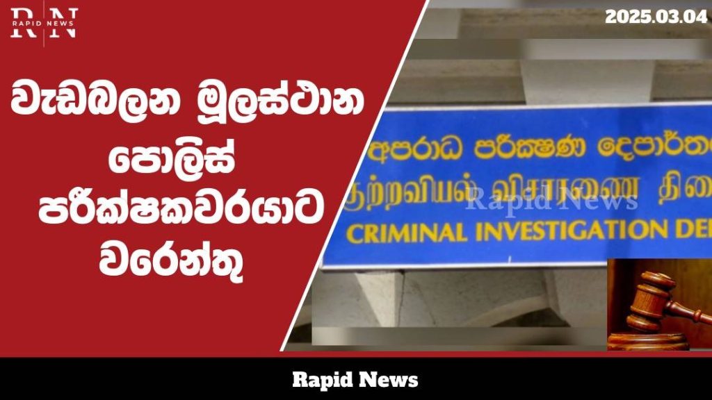 WhatsApp Image 2025 03 04 at 14.56.10