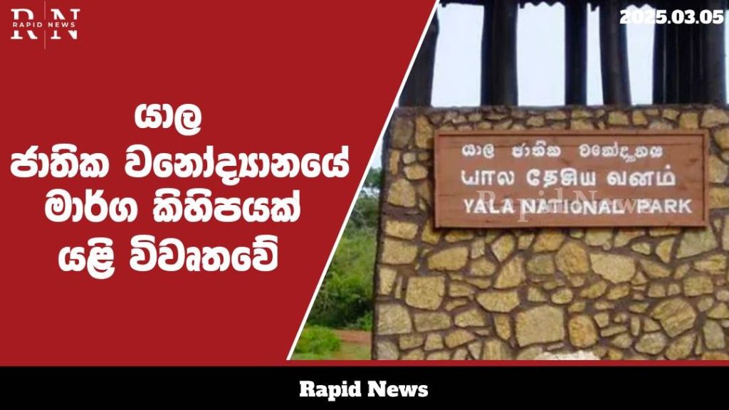 WhatsApp Image 2025 03 05 at 12.24.09