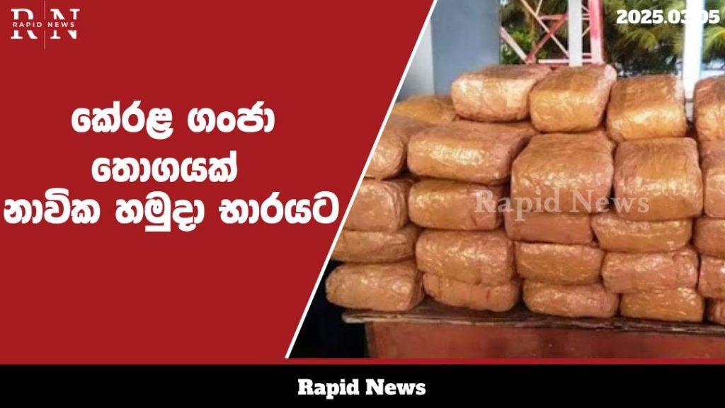 රුපියල් මිලියන 69කට අධික කේරළ ගංජා තොගයක් නාවික හමුදා භාරයට......…… 9 WhatsApp Image 2025 03 05 at 14.45.13