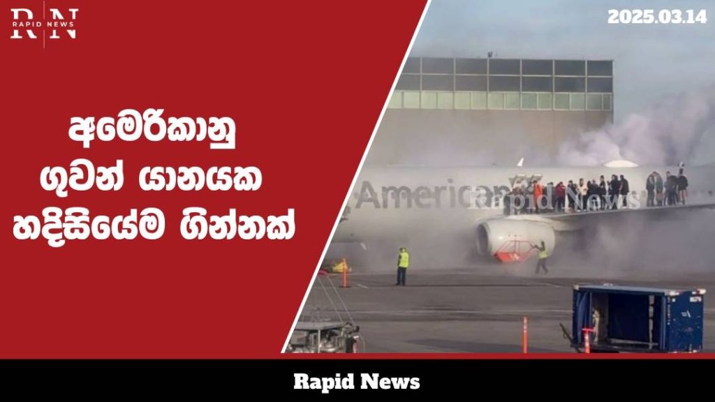 WhatsApp Image 2025 03 14 at 13.44.53 1