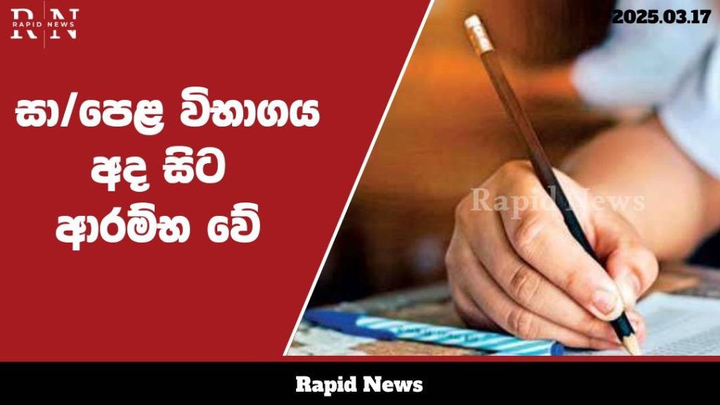 WhatsApp Image 2025 03 17 at 13.00.00 1