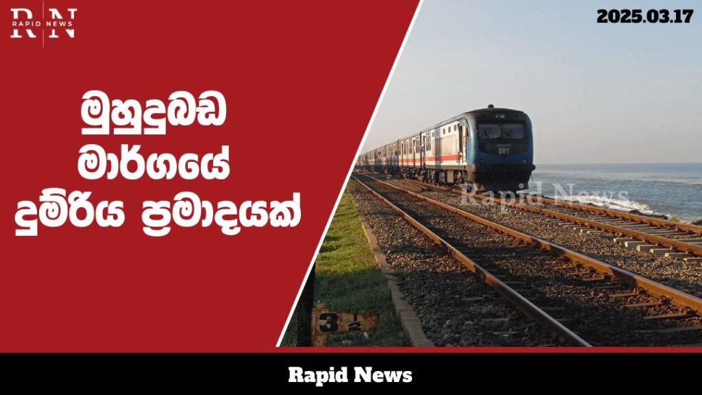 WhatsApp Image 2025 03 17 at 13.18.44