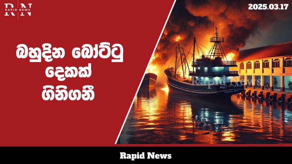 WhatsApp Image 2025 03 17 at 14.17.26