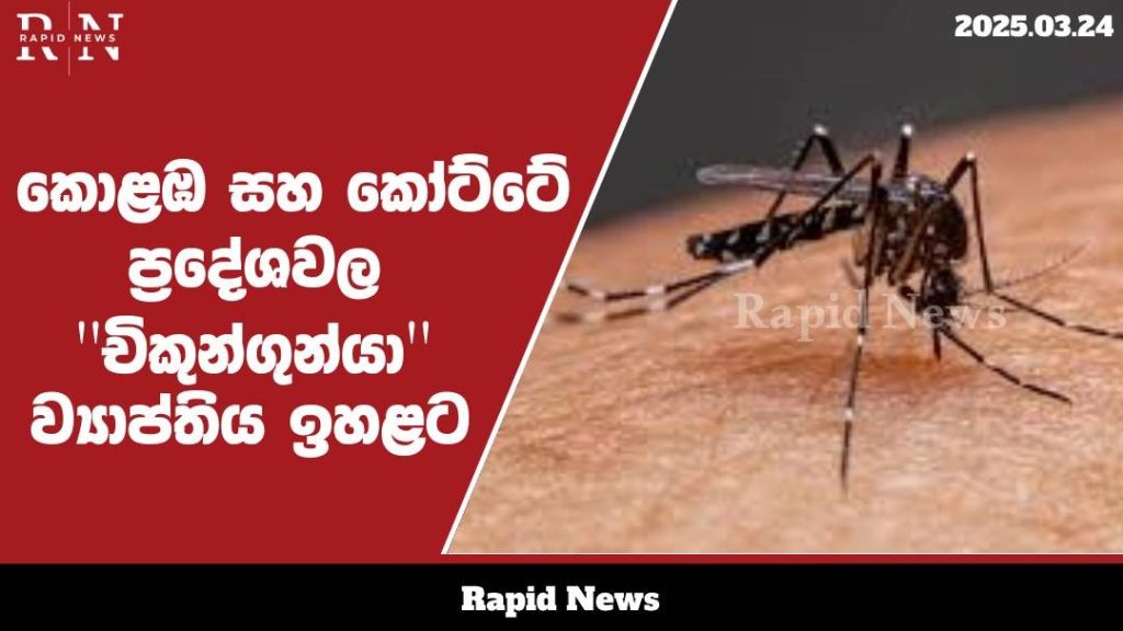 WhatsApp Image 2025 03 24 at 17.15.10