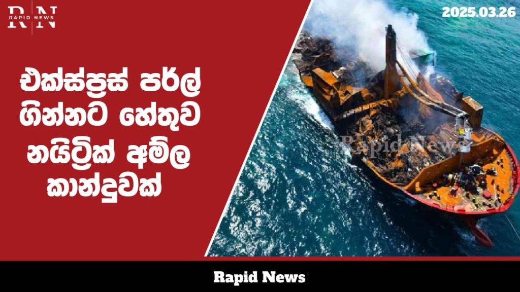 WhatsApp Image 2025 03 26 at 10.21.56