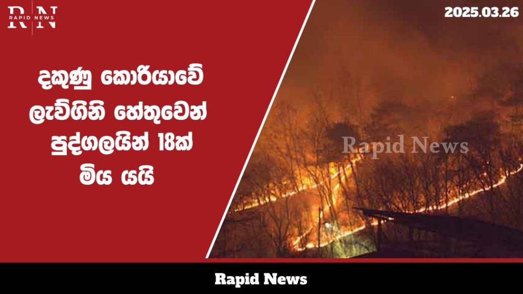 WhatsApp Image 2025 03 26 at 13.45.18