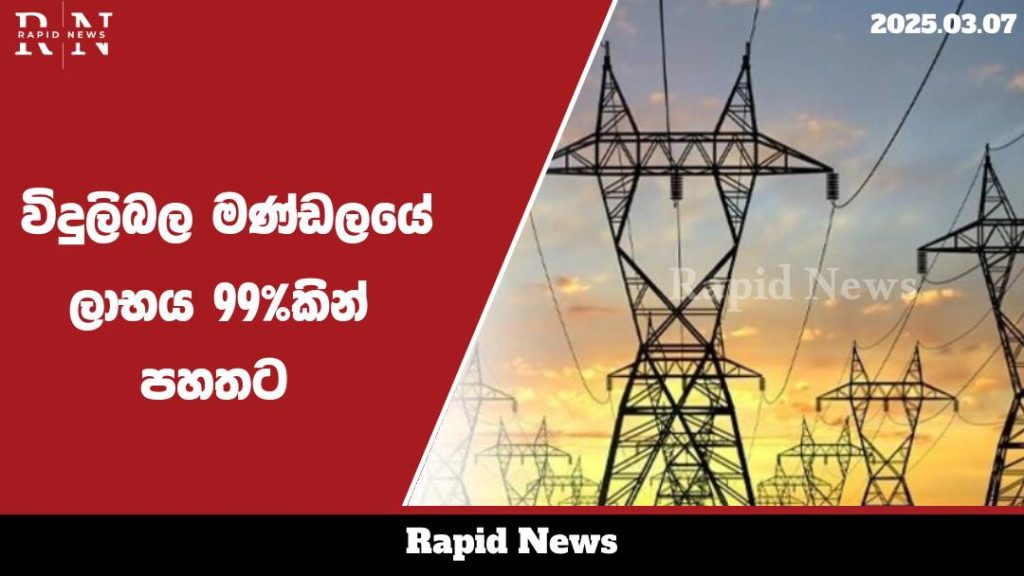 ලංකා විදුලිබල මණ්ඩලයේ ලාභය 99%කින් පහතට......…… 1 widulimandala web
