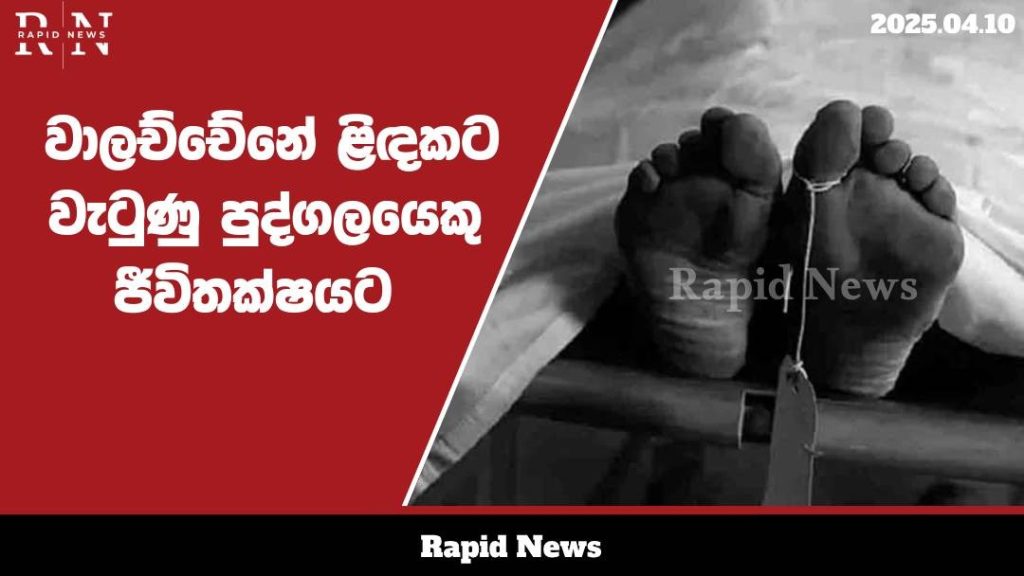 WhatsApp Image 2025 04 10 at 14.41.46 1