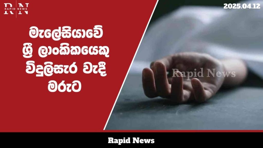 WhatsApp Image 2025 04 12 at 17.47.10