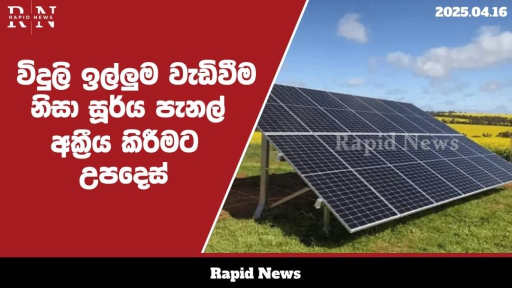 WhatsApp Image 2025 04 16 at 16.35.55