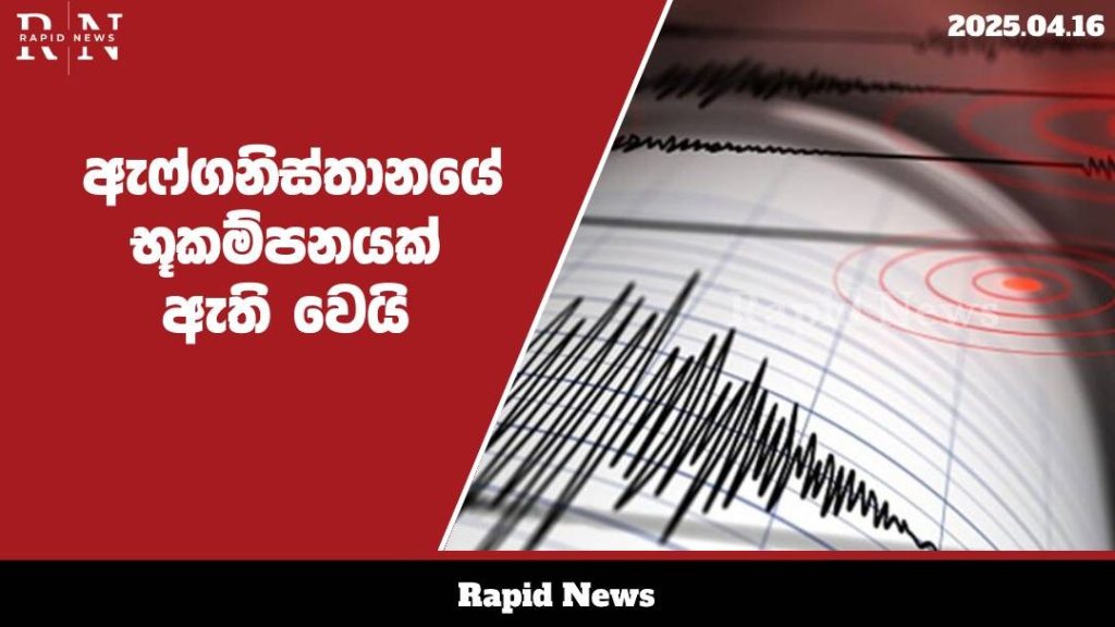 WhatsApp Image 2025 04 16 at 16.36.55