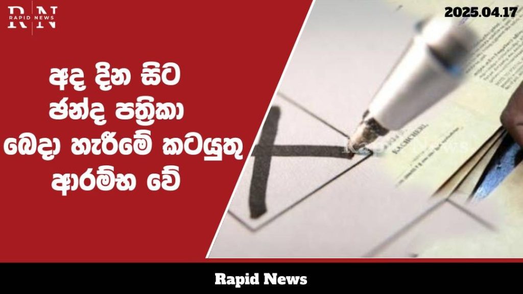 WhatsApp Image 2025 04 17 at 17.49.47