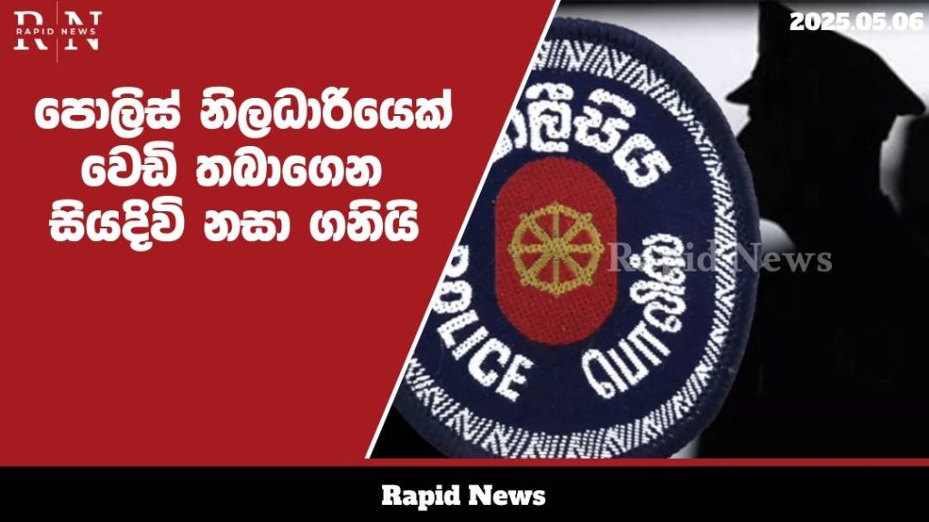 WhatsApp Image 2025 05 06 at 14.54.44 1