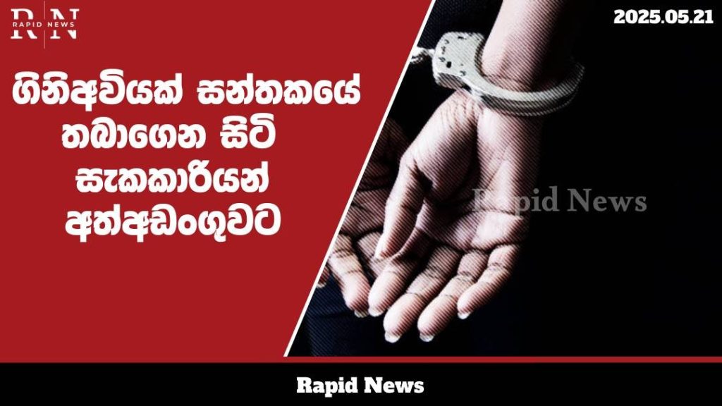 WhatsApp Image 2025 05 21 at 10.53.40