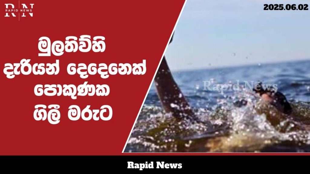 WhatsApp Image 2025 06 02 at 15.09.59 1