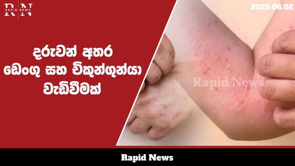 WhatsApp Image 2025 06 02 at 15.13.49