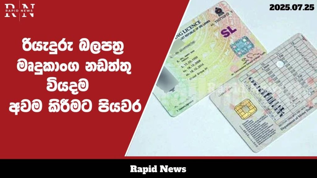 WhatsApp Image 2025 07 25 at 17.47.01