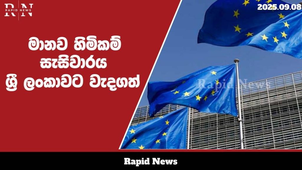 WhatsApp Image 2025 09 08 at 13.46.53