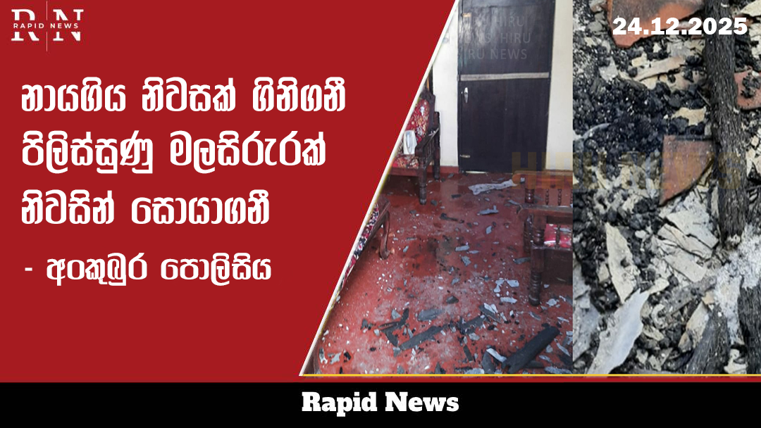 pilissuna malasirura