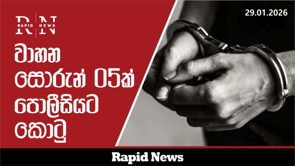 WhatsApp Image 2026 01 29 at 19.06.15 3