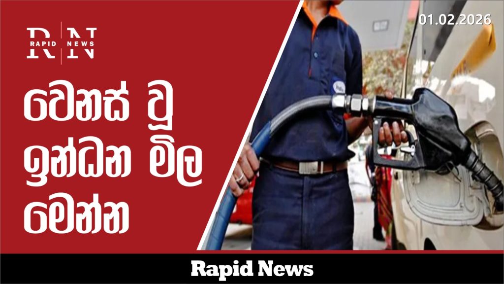 WhatsApp Image 2026 02 01 at 17.30.27