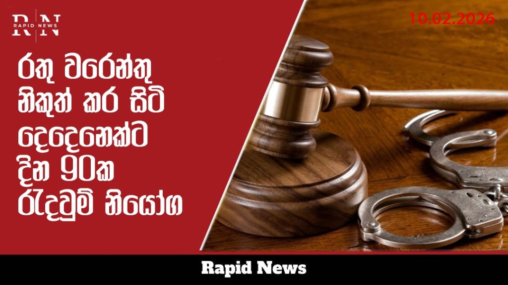 WhatsApp Image 2026 02 10 at 11.22.35 AM