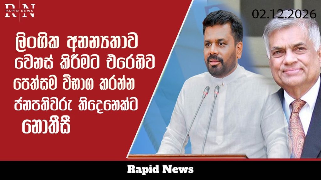 WhatsApp Image 2026 02 12 at 11.43.47 AM